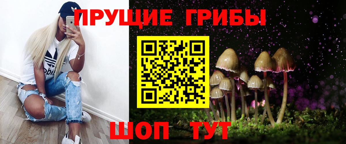Верхняя Пышма  Псилоцибиновые грибы мухоморы  хочу наркоту  Вход с VPN 